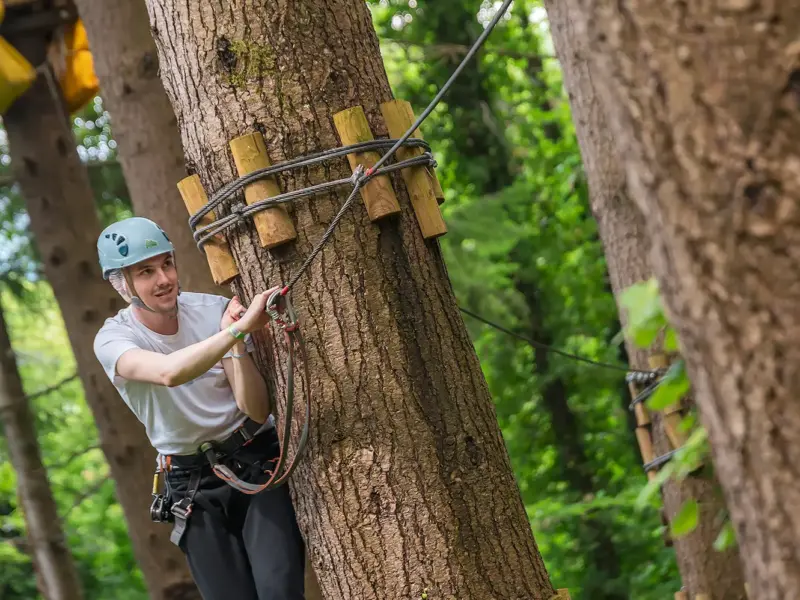 Teens and Adults +140cm